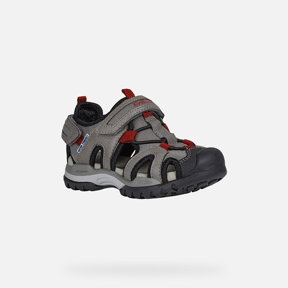 Geox Sandals Grey/Red Borealis - Geox Boys Shoes - NXIFKL845